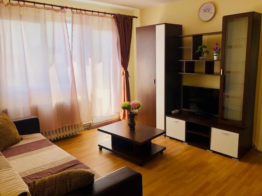 Joy City Stay Lucaciu 16 Timisoara Exterior photo